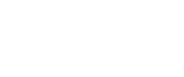 Logo The China Factory